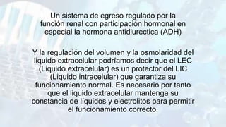 Un sistema de egreso regulado por la
función renal con participación hormonal en
especial la hormona antidiurectica (ADH)
Y la regulación del volumen y la osmolaridad del
liquido extracelular podríamos decir que el LEC
(Liquido extracelular) es un protector del LIC
(Liquido intracelular) que garantiza su
funcionamiento normal. Es necesario por tanto
que el liquido extracelular mantenga su
constancia de líquidos y electrolitos para permitir
el funcionamiento correcto.
 