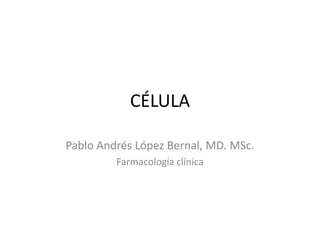 CÉLULA
Pablo Andrés López Bernal, MD. MSc.
Farmacología clínica
 