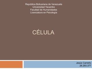 CÉLULA
Jesús Carreño
26.293.377
República Bolivariana de Venezuela
Universidad Yacambú
Facultad de Humanidades
Licenciatura en Psicología
 