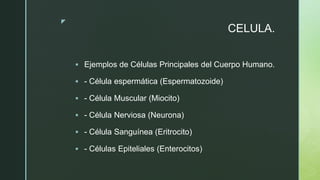 z
CELULA.
 Ejemplos de Células Principales del Cuerpo Humano.
 - Célula espermática (Espermatozoide)
 - Célula Muscular (Miocito)
 - Célula Nerviosa (Neurona)
 - Célula Sanguínea (Eritrocito)
 - Células Epiteliales (Enterocitos)
 