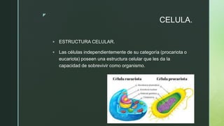 z
CELULA.
 ESTRUCTURA CELULAR.
 Las células independientemente de su categoría (procariota o
eucariota) poseen una estructura celular que les da la
capacidad de sobrevivir como organismo.
 