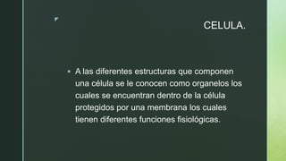 z
CELULA.
 A las diferentes estructuras que componen
una célula se le conocen como organelos los
cuales se encuentran dentro de la célula
protegidos por una membrana los cuales
tienen diferentes funciones fisiológicas.
 