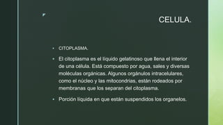 z
CELULA.
 CITOPLASMA.
 El citoplasma es el líquido gelatinoso que llena el interior
de una célula. Está compuesto por agua, sales y diversas
moléculas orgánicas. Algunos orgánulos intracelulares,
como el núcleo y las mitocondrias, están rodeados por
membranas que los separan del citoplasma.
 Porción líquida en que están suspendidos los organelos.
 