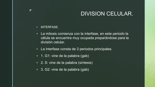 z
DIVISION CELULAR.
 INTERFASE.
 La mitosis comienza con la interfase, en este periodo la
célula se encuentra muy ocupada preparándose para la
división celular.
 La interfase consta de 3 periodos principales.
 1. G1: vine de la palabra (gab)
 2. S: vine de la palabra (síntesis)
 3. G2: vine de la palabra (gab)
 