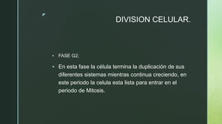 z
DIVISION CELULAR.
 FASE G2;
 En esta fase la célula termina la duplicación de sus
diferentes sistemas mientras continua creciendo, en
este periodo la celula esta lista para entrar en el
periodo de Mitosis.
 