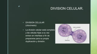 z
DIVISION CELULAR.
 DIVISION CELULAR
(citocinesis):
 La división celular está completa
y las células hijas a su vez
entran en interfase a fin de
prepararse para su propia
duplicación y división.
 