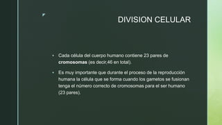 z
DIVISION CELULAR
 Cada célula del cuerpo humano contiene 23 pares de
cromosomas (es decir,46 en total).
 Es muy importante que durante el proceso de la reproducción
humana la célula que se forma cuando los gametos se fusionan
tenga el número correcto de cromosomas para el ser humano
(23 pares).
 