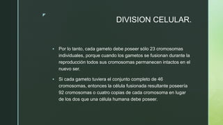 z
DIVISION CELULAR.
 Por lo tanto, cada gameto debe poseer sólo 23 cromosomas
individuales, porque cuando los gametos se fusionan durante la
reproducción todos sus cromosomas permanecen intactos en el
nuevo ser.
 Si cada gameto tuviera el conjunto completo de 46
cromosomas, entonces la célula fusionada resultante poseería
92 cromosomas o cuatro copias de cada cromosoma en lugar
de los dos que una célula humana debe poseer.
 