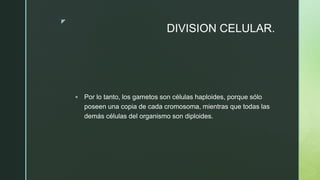z
DIVISION CELULAR.
 Por lo tanto, los gametos son células haploides, porque sólo
poseen una copia de cada cromosoma, mientras que todas las
demás células del organismo son diploides.
 