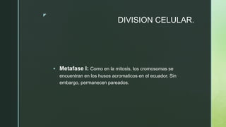 z
DIVISION CELULAR.
 Metafase I: Como en la mitosis, los cromosomas se
encuentran en los husos acromaticos en el ecuador. Sin
embargo, permanecen pareados.
 