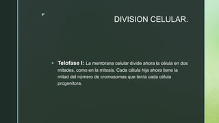z
DIVISION CELULAR.
 Telofase I: La membrana celular divide ahora la célula en dos
mitades, como en la mitosis. Cada célula hija ahora tiene la
mitad del número de cromosomas que tenía cada célula
progenitora.
 