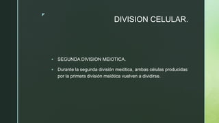 z
DIVISION CELULAR.
 SEGUNDA DIVISION MEIOTICA.
 Durante la segunda división meiótica, ambas células producidas
por la primera división meiótica vuelven a dividirse.
 