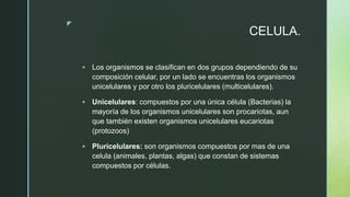 z
CELULA.
 Los organismos se clasifican en dos grupos dependiendo de su
composición celular, por un lado se encuentras los organismos
unicelulares y por otro los pluricelulares (multicelulares).
 Unicelulares: compuestos por una única célula (Bacterias) la
mayoría de los organismos unicelulares son procariotas, aun
que también existen organismos unicelulares eucariotas
(protozoos)
 Pluricelulares: son organismos compuestos por mas de una
celula (animales, plantas, algas) que constan de sistemas
compuestos por células.
 