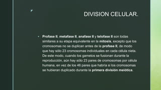 z
DIVISION CELULAR.
 Profase II, metafase II, anafase II y telofase II son todas
similares a su etapa equivalente en la mitosis, excepto que los
cromosomas no se duplican antes de la profase II, de modo
que hay sólo 23 cromosomas individuales en cada célula nieta.
De este modo, cuando los gametos se fusionan durante la
reproducción, aún hay sólo 23 pares de cromosomas por célula
humana, en vez de los 46 pares que habría si los cromosomas
se hubieran duplicado durante la primera división meiótica.
 