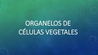 ORGANELOS DE
CÉLULAS VEGETALES
 