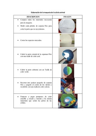 Elaboración de la maqueta de la célula animal
DESCRIPCION IMAGEN
 Comprar todos los materiales necesarios
para la maqueta.
 Medir cada pelotita de espuma Flex para
corta la parte que no necesitamos.
 Cortar los espacios marcados.
 Cubrir la parte cortada de la espuman Flex
con una toalla de color azul.
 Cubrir la parte sobrante con un Toalla de
color verde.
 Recortar otro pedazo pequeño de espuma
Flex y pegarlo al centro de los demás y
recubrirlo con una toalla de color celeste.
 Empezar a pegar pompones de color
amarillo y rosado y morado y los demás
materiales que serían las partes de las
células.
 