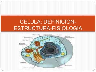 CELULA: DEFINICION-
ESTRUCTURA-FISIOLOGIA
 