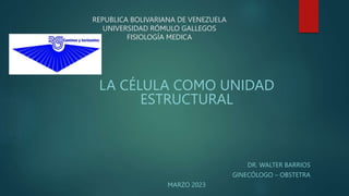 REPUBLICA BOLIVARIANA DE VENEZUELA
UNIVERSIDAD RÓMULO GALLEGOS
FISIOLOGÍA MEDICA
LA CÉLULA COMO UNIDAD
ESTRUCTURAL
DR. WALTER BARRIOS
GINECÓLOGO – OBSTETRA
MARZO 2023
 
