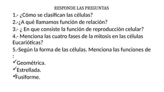 RESPONDE LAS PREGUNTAS
1.- ¿Cómo se clasifican las células?
2.-¿A qué llamamos función de relación?
3.- ¿ En que consiste la función de reproducción celular?
4.- Menciona las cuatro fases de la mitosis en las células
Eucarióticas?
5.-Según la forma de las células. Menciona las funciones de
:
Geométrica.
Estrellada.

Fusiforme.
 