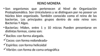 REINO MONERA
• Son organismos que pertenecen al Nivel de Organización
Protoplasmático. Son Unicelulares y se distinguen por no poseer un
Núcleo bien organizado. También conocido como el reino de las
bacterias. Los principales grupos dentro de este reino son:
Bacterias Y Algas.
• Bacterias: Miden, entre 1 y 10 micras Pueden presentarse en
distintas formas, como son:
Bacilos: con forma alargada.
Cocos: con forma redondeada-
Espirilos: con forma helicoidal
Vibrión: con forma de coma ortográfica
 