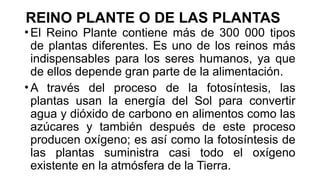 REINO PLANTE O DE LAS PLANTAS
•El Reino Plante contiene más de 300 000 tipos
de plantas diferentes. Es uno de los reinos más
indispensables para los seres humanos, ya que
de ellos depende gran parte de la alimentación.
•A través del proceso de la fotosíntesis, las
plantas usan la energía del Sol para convertir
agua y dióxido de carbono en alimentos como las
azúcares y también después de este proceso
producen oxígeno; es así como la fotosíntesis de
las plantas suministra casi todo el oxígeno
existente en la atmósfera de la Tierra.
 