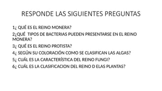 RESPONDE LAS SIGUIENTES PREGUNTAS
1¿ QUÉ ES EL REINO MONERA?
2¿QUÉ TIPOS DE BACTERIAS PUEDEN PRESENTARSE EN EL REINO
MONERA?
3¿ QUÉ ES EL REINO PROTISTA?
4¿ SEGÚN SU COLORACIÓN COMO SE CLASIFICAN LAS ALGAS?
5¿ CUÁL ES LA CARACTERÍSTICA DEL REINO FUNGI?
6¿ CUÁL ES LA CLASIFICACION DEL REINO D ELAS PLANTAS?
 