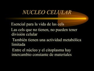 NUCLEO CELULAR
Esencial para la vida de las cels
Las cels que no tienen, no pueden tener
división celular
También tienen una actividad metabólica
limitada
Entre el núcleo y el citoplasma hay
intercambio constante de materiales
 