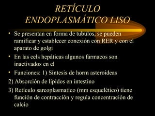 RETÍCULO
ENDOPLASMÁTICO LISO
• Se presentan en forma de tubulos, se pueden
ramificar y establecer conexión con RER y con el
aparato de golgi
• En las cels hepáticas algunos fármacos son
inactivados en el
• Funciones: 1) Síntesis de horm asteroideas
2) Absorción de lípidos en intestino
3) Retículo sarcoplasmatico (mm esquelético) tiene
función de contracción y regula concentración de
calcio
 