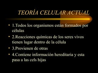 TEORÍA CELULAR ACTUAL
• 1.Todos los organismos están formados por
células
• 2.Reacciones químicas de los seres vivos
tienen lugar dentro de la célula
• 3.Provienen de otras
• 4.Contiene información hereditaria y esta
pasa a las cels hijas
 
