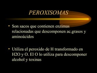PEROXISOMAS
• Son sacos que contienen enzimas
relacionadas que descomponen ac.grasos y
aminoácidos
• Utiliza el peroxido de H transformado en
H2O y O. El O lo utiliza para descomponer
alcohol y toxinas
 