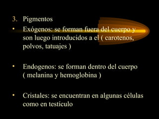 3. Pigmentos
• Exógenos: se forman fuera del cuerpo y
son luego introducidos a el ( carotenos,
polvos, tatuajes )
• Endogenos: se forman dentro del cuerpo
( melanina y hemoglobina )
• Cristales: se encuentran en algunas células
como en testículo
 