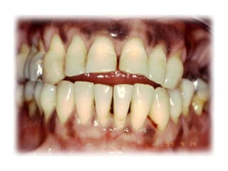 celula efectos, funciones e importancia.