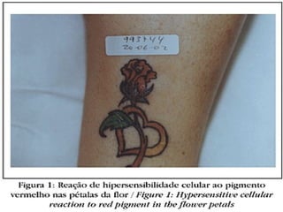 celula efectos, funciones e importancia.
