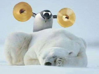 celula efectos, funciones e importancia.