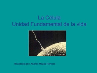 La Célula
Unidad Fundamental de la vida
Realizada por: Andrés Mejías Romero
 