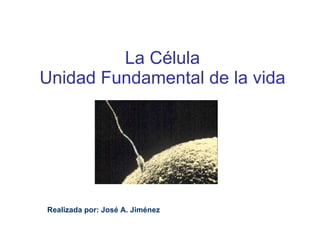 La Célula Unidad Fundamental de la vida Realizada por: José A. Jiménez 