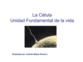 La Célula
Unidad Fundamental de la vida

Realizada por: Andrés Mejías Romero

 