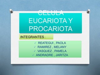 CELULA
EUCARIOTA Y
PROCARIOTA
 REATEGUI , PAOLA
 RAMIREZ , MELANY
 VASQUEZ , PAMELA
 ANDRADRE , JARITZA
INTEGRANTES :
 