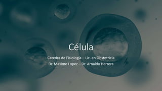 Célula
Catedra de Fisiología – Lic. en Obstetricia
Dr. Maximo Lopez – Dr. Arnaldo Herrera
 