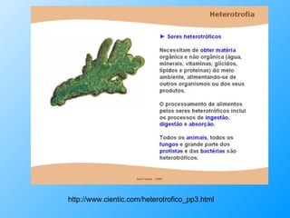 http://www.cientic.com/heterotrofico_pp3.html 