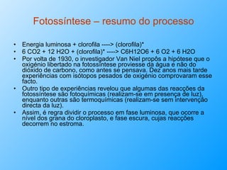 Fotossíntese – resumo do processo Energia luminosa + clorofila ----> (clorofila)* 6 CO2 + 12 H2O + (clorofila)* ----> C6H12O6 + 6 O2 + 6 H2O Por volta de 1930, o investigador Van Niel propôs a hipótese que o oxigénio libertado na fotossíntese proviesse da água e não do dióxido de carbono, como antes se pensava. Dez anos mais tarde experiências com isótopos pesados de oxigénio comprovaram esse facto. Outro tipo de experiências revelou que algumas das reacções da fotossíntese são fotoquímicas (realizam-se em presença de luz), enquanto outras são termoquímicas (realizam-se sem intervenção directa da luz).  Assim, é regra dividir o processo em fase luminosa, que ocorre a nível dos grana do cloroplasto, e fase escura, cujas reacções decorrem no estroma.  