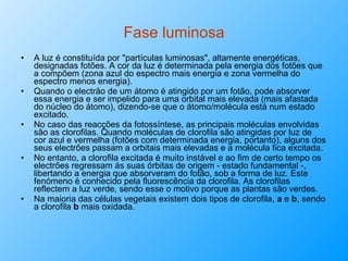 Fase luminosa A luz é constituída por "partículas luminosas", altamente energéticas, designadas fotões. A cor da luz é determinada pela energia dos fotões que a compõem (zona azul do espectro mais energia e zona vermelha do espectro menos energia).  Quando o electrão de um átomo é atingido por um fotão, pode absorver essa energia e ser impelido para uma orbital mais elevada (mais afastada do núcleo do átomo), dizendo-se que o átomo/molécula está num estado excitado. No caso das reacções da fotossíntese, as principais moléculas envolvidas são as clorofilas. Quando moléculas de clorofila são atingidas por luz de  cor azul e vermelha (fotões com determinada energia, portanto), alguns dos seus electrões passam a orbitais mais elevadas e a molécula fica excitada.  No entanto, a clorofila excitada é muito instável e ao fim de certo tempo os electrões regressam ás suas órbitas de origem - estado fundamental -, libertando a energia que absorveram do fotão, sob a forma de luz. Este fenómeno é conhecido pela fluorescência da clorofila. As clorofilas reflectem a luz verde, sendo esse o motivo porque as plantas são verdes. Na maioria das células vegetais existem dois tipos de clorofila,  a  e  b , sendo a clorofila  b  mais oxidada. 