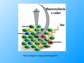 http://curlygirl.no.sapo.pt/energia.htm 