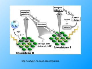 http://curlygirl.no.sapo.pt/energia.htm 
