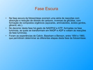 Fase Escura Na fase escura da fotossíntese ocorrem uma série de reacções com absorção e redução de dióxido de carbono, inversas da glicolise, com formação de compostos orgânicos (açúcares, aminoácidos, ácidos gordos, glicerol, etc.).  No decorrer desta fase há gasto de NADPH2 e ATP, formadas na fase luminosa, as quais se transformam em NADP e ADP e voltam ás reacções da fase luminosa. Foram as experiências de Calvin, Bassham e Benson, entre 1954 e 1960, que permitiram determinar as diferentes etapas desta fase da fotossíntese. 