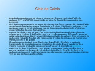 Ciclo de Calvin A série de reacções que permitem a síntese de glicose a partir de dióxido de carbono, ATP e NADPH2 é conhecida por ciclo de Calvin-Benson ou ciclo das pentoses.  O ciclo das pentoses pode ser resumido da seguinte forma: uma molécula de dióxido de carbono é fixada num açúcar fosforilado, a ribulose 1,5-difosfato, originando um composto instável com 6 carbonos, que se decompõe imediatamente originando duas moléculas de ácido fosfoglicérico.  A partir daqui decorrem as reacções inversas da glicólise que originam glicose e regeneram a ribulose 1,5-difosfato para que o ciclo recomece. Atendendo a que por cada volta do ciclo de Calvin uma molécula de dióxido de carbono (logo um átomo de carbono) é reduzida (fixada), são necessárias 6 voltas do ciclo para se formar uma molécula como a de glicose O produto primário do ciclo de Calvin é o gliceraldeído 3-fosfato, a molécula transportada do cloroplasto para o citoplasma da célula. Esta é exactamente a mesma molécula produzida pela quebra da frutose 1,6-difosfato na  glicólise . A enzima ribulose 1,5-difosfato carboxilase, vulgarmente designada Rubisco, a enzima catalisadora da reacção inicial do ciclo de Calvin (fixação do dióxido de carbono na ribulose) é muito abundante nos cloroplastos, correspondendo a mais de 15% do seu conteúdo proteico total.  