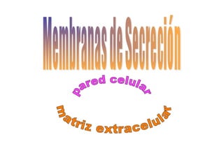 Celula_ Membranas De Secrecion