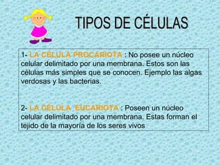 1- LA CÉLULA PROCARIOTA : No posee un núcleo
celular delimitado por una membrana. Estos son las
células más simples que se conocen. Ejemplo las algas
verdosas y las bacterias.


2- LA CÉLULA EUCARIOTA : Poseen un núcleo
celular delimitado por una membrana. Estas forman el
tejido de la mayoría de los seres vivos
 