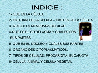 1- QUÉ ES LA CÉLULA
2- HISTORIA DE LA CÉLULA – PARTES DE LA CÉLULA
3- QUÉ ES LA MENBRANA CELULAR
4-QUÉ ES EL CITOPLASMA Y CUALES SON
SUS PARTES.
5- QUÉ ES EL NÚCLEO Y CUÁLES SUS PARTES
6- ORGANOIDES CITOPLASMÁTICOS.
7- TIPOS DE CÉLULAS: PROCARIOTA, EUCARIOTA
8- CÉLULA ANIMAL Y CÉLULA VEGETAL
 