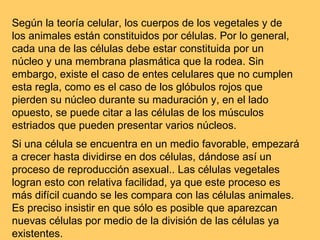 Según la teoría celular, los cuerpos de los vegetales y de los animales están constituidos por células. Por lo general, cada una de las células debe estar constituida por un núcleo y una membrana plasmática que la rodea. Sin embargo, existe el caso de entes celulares que no cumplen esta regla, como es el caso de los glóbulos rojos que pierden su núcleo durante su maduración y, en el lado opuesto, se puede citar a las células de los músculos estriados que pueden presentar varios núcleos. Si una célula se encuentra en un medio favorable, empezará a crecer hasta dividirse en dos células, dándose así un proceso de reproducción asexual.. Las células vegetales logran esto con relativa facilidad, ya que este proceso es más difícil cuando se les compara con las células animales. Es preciso insistir en que sólo es posible que aparezcan nuevas células por medio de la división de las células ya existentes. 